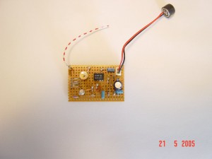 DSC02509_800x600[1]